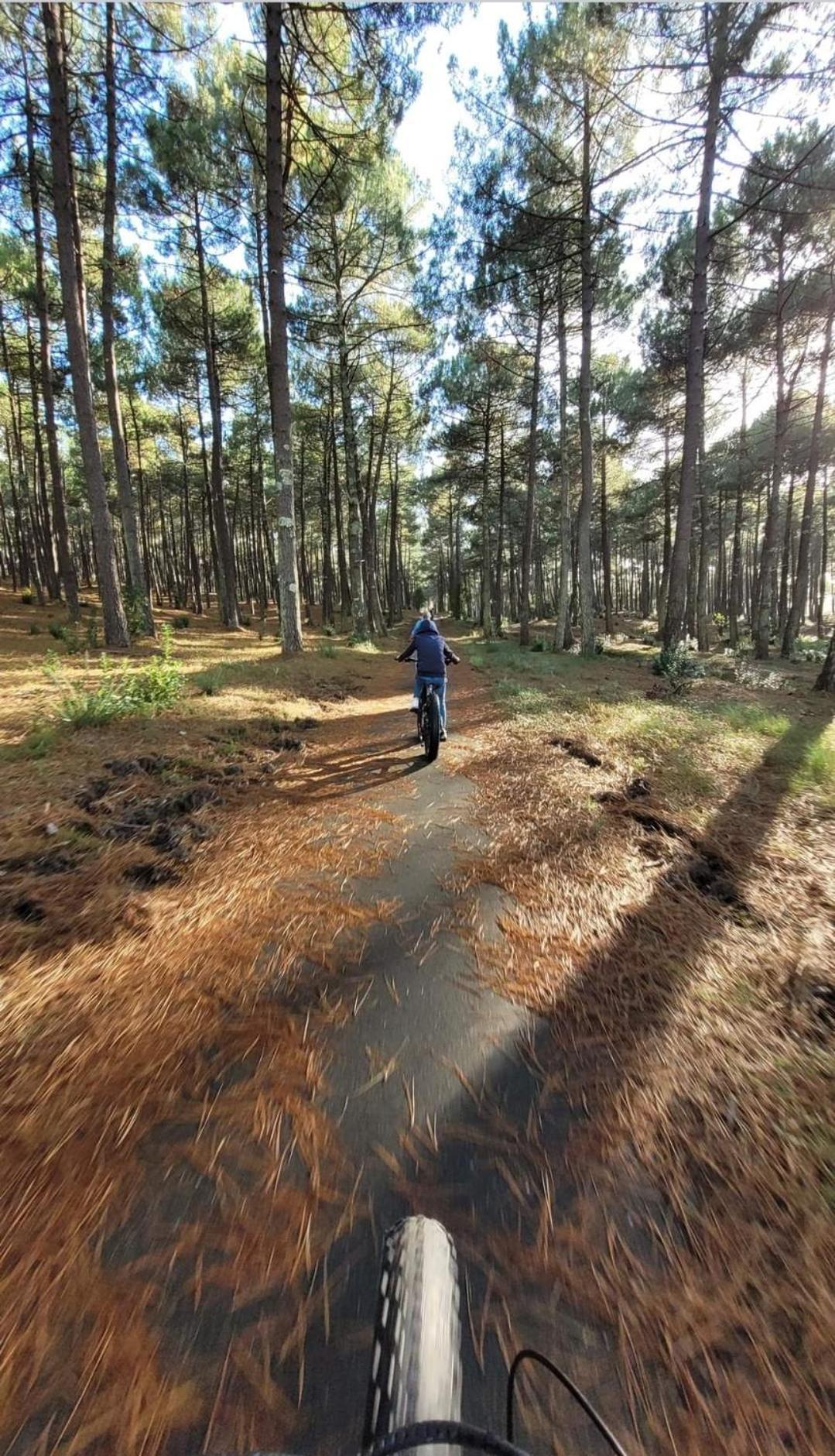 Camping Des Dunes De Contis Mobilhome 3Ch, Сен-Жульєн-ан-Борн Екстер'єр фото